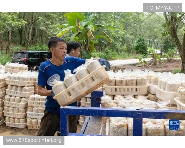 沙巴体育积极响应国家体育政策,助力全民健身运动深入推进 沙巴体育积极响应国家体育政策,助力全民健身运动深入推进